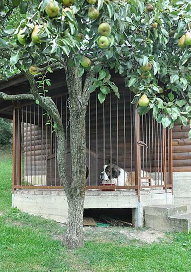 Садиба У Крайлюків 亚列姆切 外观 照片